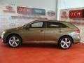 Golden Umber Mica - Venza V6 AWD Photo No. 4