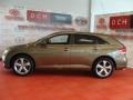 Golden Umber Mica - Venza V6 AWD Photo No. 4