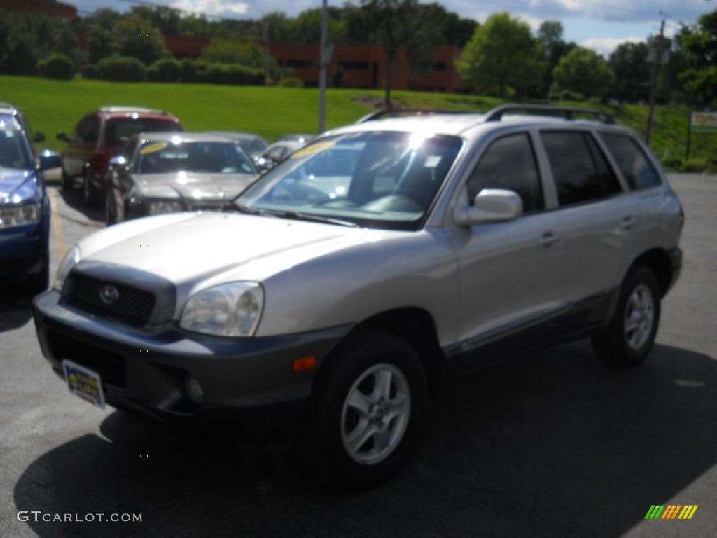 2004 Santa Fe GLS 4WD - Pewter / Gray photo #1