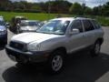 2004 Pewter Hyundai Santa Fe GLS 4WD  photo #1