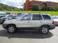 2004 Pewter Hyundai Santa Fe GLS 4WD  photo #13