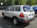 2004 Pewter Hyundai Santa Fe GLS 4WD  photo #14