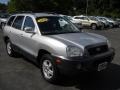 2004 Pewter Hyundai Santa Fe GLS 4WD  photo #16