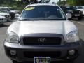 2004 Pewter Hyundai Santa Fe GLS 4WD  photo #17