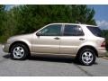 2002 Desert Silver Metallic Mercedes-Benz ML 320 4Matic  photo #8