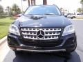 Black - ML 350 Photo No. 3