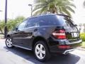 Black - ML 350 Photo No. 8