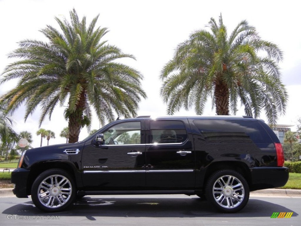 2011 Escalade ESV Platinum AWD - Black Raven / Cocoa/Light Linen Tehama Leather photo #1