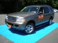 2005 Mineral Grey Metallic Ford Explorer XLT 4x4  photo #1