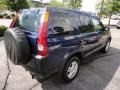 Eternal Blue Pearl - CR-V EX 4WD Photo No. 6