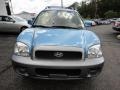 2004 Arctic Blue Hyundai Santa Fe   photo #3