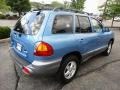 2004 Arctic Blue Hyundai Santa Fe   photo #6