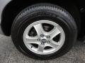 2004 Hyundai Santa Fe Standard Santa Fe Model Wheel and Tire Photo