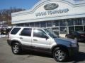 2004 Satin Silver Metallic Ford Escape XLT V6 4WD  photo #1