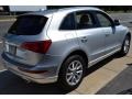 Ice Silver Metallic - Q5 3.2 quattro Photo No. 5