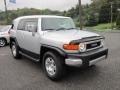 Titanium Metallic - FJ Cruiser 4WD Photo No. 1