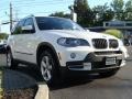Alpine White - X5 3.0si Photo No. 3