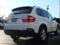 Alpine White - X5 3.0si Photo No. 4