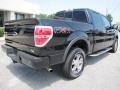 2010 Tuxedo Black Ford F150 FX4 SuperCrew 4x4  photo #7