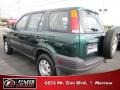Clover Green Pearl - CR-V LX Photo No. 2