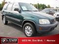 Clover Green Pearl - CR-V LX Photo No. 4