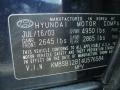 2004 Moonlit Blue Hyundai Santa Fe   photo #4