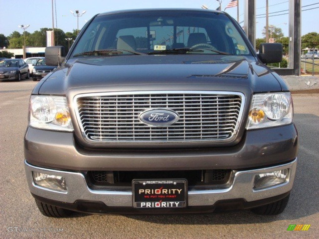 2005 F150 XLT SuperCab - Dark Shadow Grey Metallic / Medium Flint Grey photo #7