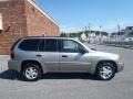 2003 Pewter Metallic GMC Envoy SLE  photo #13