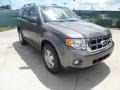 Sterling Gray Metallic - Escape XLT Photo No. 1