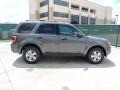 Sterling Gray Metallic - Escape XLT Photo No. 2