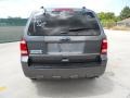 Sterling Gray Metallic - Escape XLT Photo No. 4