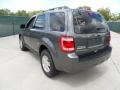 Sterling Gray Metallic - Escape XLT Photo No. 5