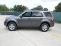 Sterling Gray Metallic - Escape XLT Photo No. 6