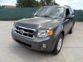Sterling Gray Metallic - Escape XLT Photo No. 7