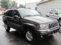 Graphite Metallic - Grand Cherokee Laredo 4x4 Photo No. 22