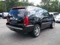 Black Raven - Escalade AWD Photo No. 8