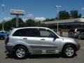 Titanium Metallic - RAV4  Photo No. 1