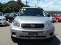 Titanium Metallic - RAV4  Photo No. 2