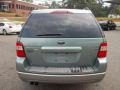 2005 Titanium Green Metallic Ford Freestyle SEL AWD  photo #4