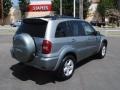 2004 Everglade Green Metallic Toyota RAV4 4WD  photo #9