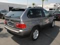 Stratus Grey Metallic - X5 3.0i Photo No. 9