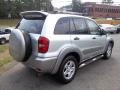 Titanium Metallic - RAV4  Photo No. 3