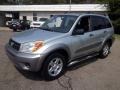 Titanium Metallic - RAV4  Photo No. 7