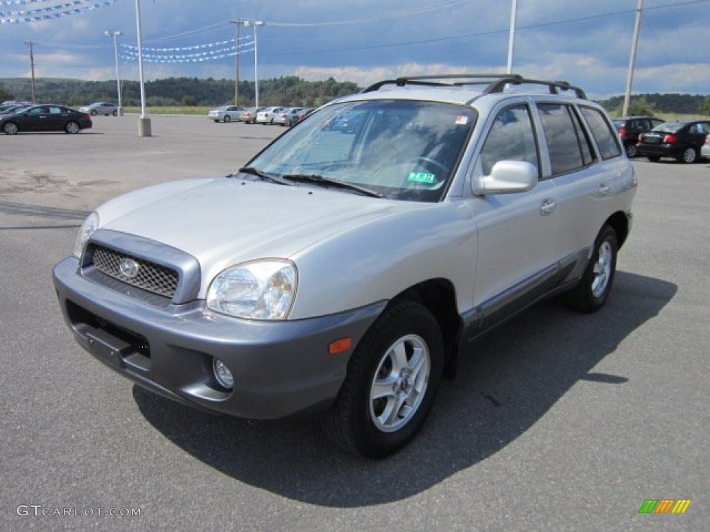 2003 Santa Fe GLS - Pewter / Gray photo #3