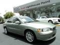 Willow Green Metallic - S60 2.5T Photo No. 1