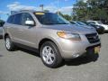 2007 Natural Khaki Green Hyundai Santa Fe Limited  photo #4