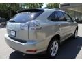 Bamboo Green Pearl - RX 350 AWD Photo No. 6