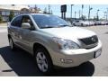 Bamboo Green Pearl - RX 350 AWD Photo No. 7