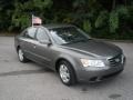 Willow Gray - Sonata GLS Photo No. 1