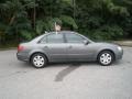 Willow Gray - Sonata GLS Photo No. 2